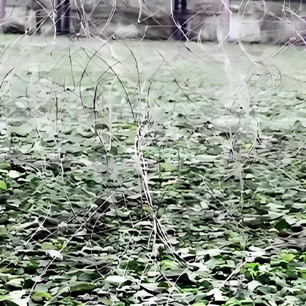 Practical application